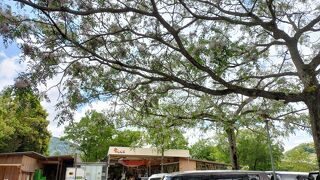 人気の道の駅です。