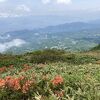 山頂付近ではレンゲツツジが満開