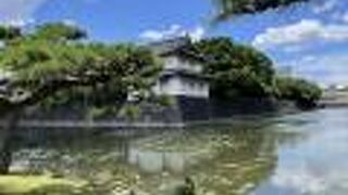 現存櫓の一つです