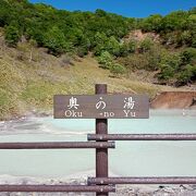 大湯沼のすぐ近く　奥の湯