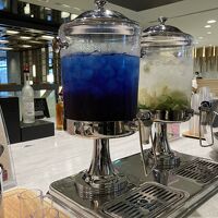 ドリンクバーにあったバタフライピー。