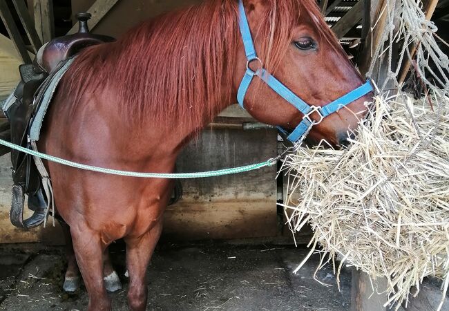 フラノトレッキングサポート遊馬