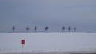 ジャガイモ畑の絶景