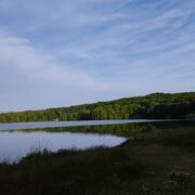 大沼森林公園