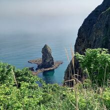 結構がっちりです。