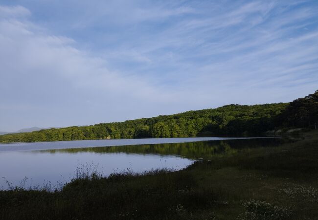 大沼森林公園