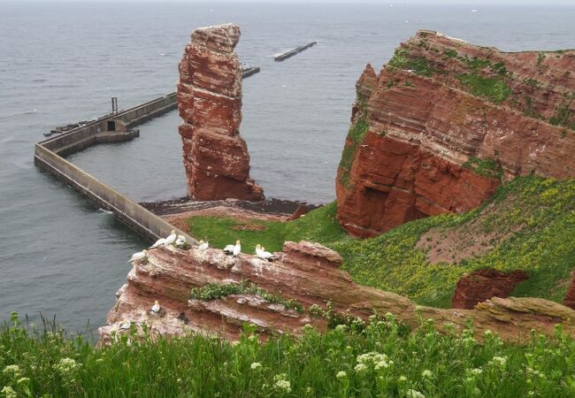 北海沖にあるドイツ領の離島