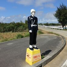 下地島にもいました