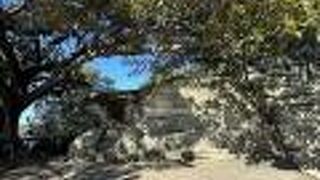 シドニー湾の外洋を見つめる椅子