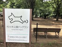 代々木公園ドッグラン