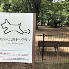 代々木公園ドッグラン