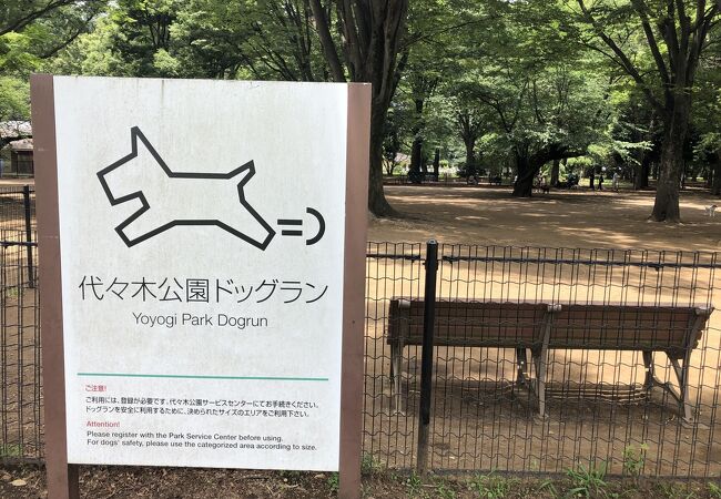 代々木公園ドッグラン