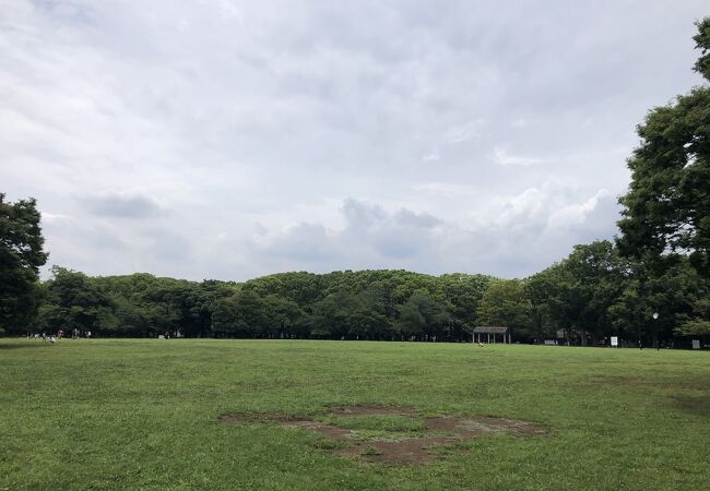 代々木公園ランニングコース