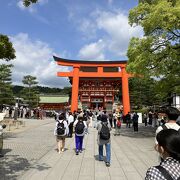 軽い山登りでした。