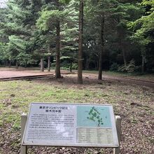 東京オリンピック記念樹木見本園