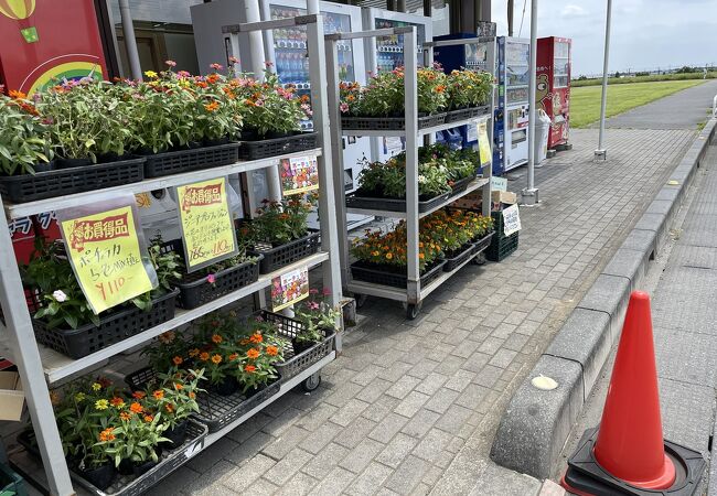 道の駅 はにゅう