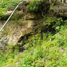 白い岩と下の黒い岩の境目が中央構造線です