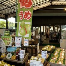 道の駅 水辺の郷おおやま