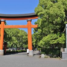 表参道の鳥居