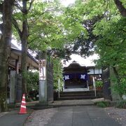 緑が濃いお寺。