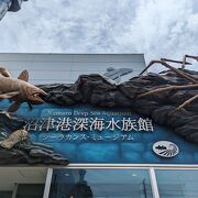 A rare aquarium where you can learn about deep-sea life and coelacanths in depth, but don't get your too hopes up!