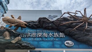 A rare aquarium where you can learn about deep-sea life and coelacanths in depth, but don't get your too hopes up!