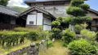 ゆったりと見学できました