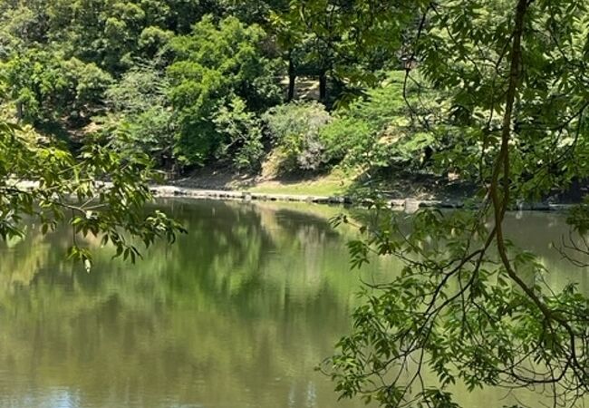 奈良ホテルと菊水楼（料亭）に挟まれた池です