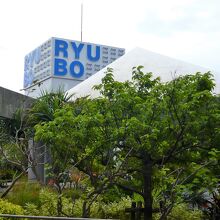 木々も多くてオアシス