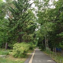 豊平公園
