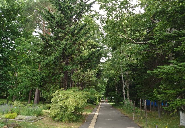 初めての豊平公園