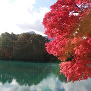 五色沼の紅葉