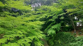 高低差のある緑が美しい