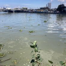 川の流れのように…