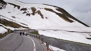 ６月では雪の大谷も低いです