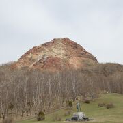 大地のエネルギーを間近で感じられる特別天然記念物