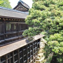 外から見た舟廊下。奥は都久夫須麻神社本殿