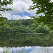 静かで小鳥の鳴き声に癒される高原の池