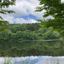 小鳥ヶ池