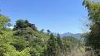 印象的なシルエットでした