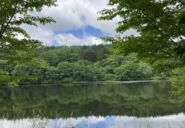 静かで小鳥の鳴き声に癒される高原の池