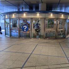 外観も丸いです。