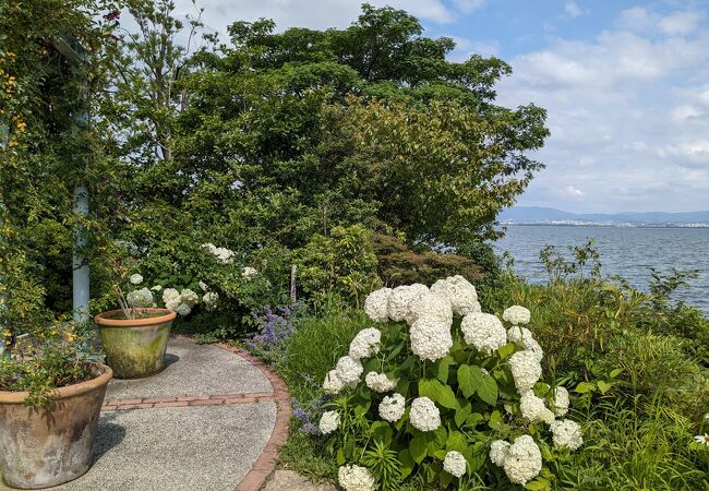 あじさい咲く季節の柳が崎湖畔公園もオススメ