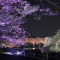 ホテル周辺の千鳥ヶ淵は桜の名所