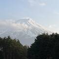 窓から見える富士山が絶景です！