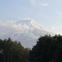 カーテンを開けると富士山がお出迎えしてくれます！