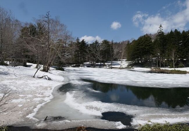 残雪の静かな美しい風景