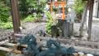 池のコイがかわいい〜。