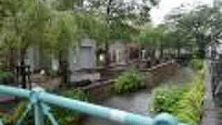 細かく雰囲気が変わる。