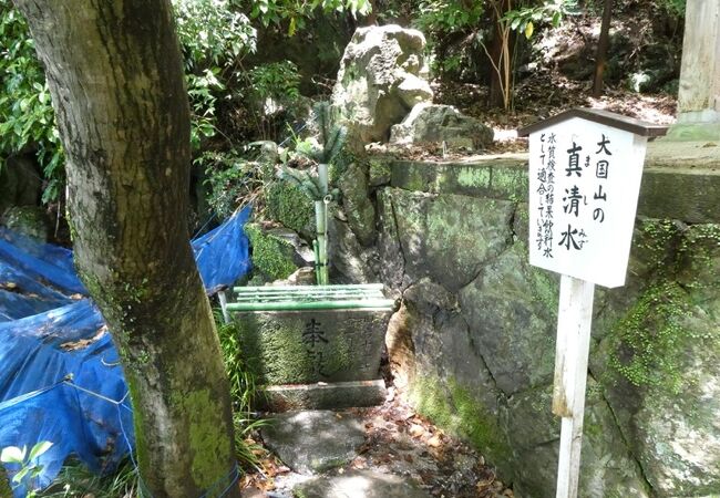 境内の隅に湧き水。